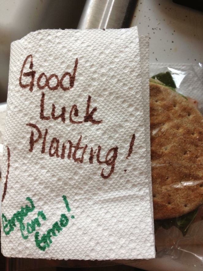 Lunch in the field and a note with love.
